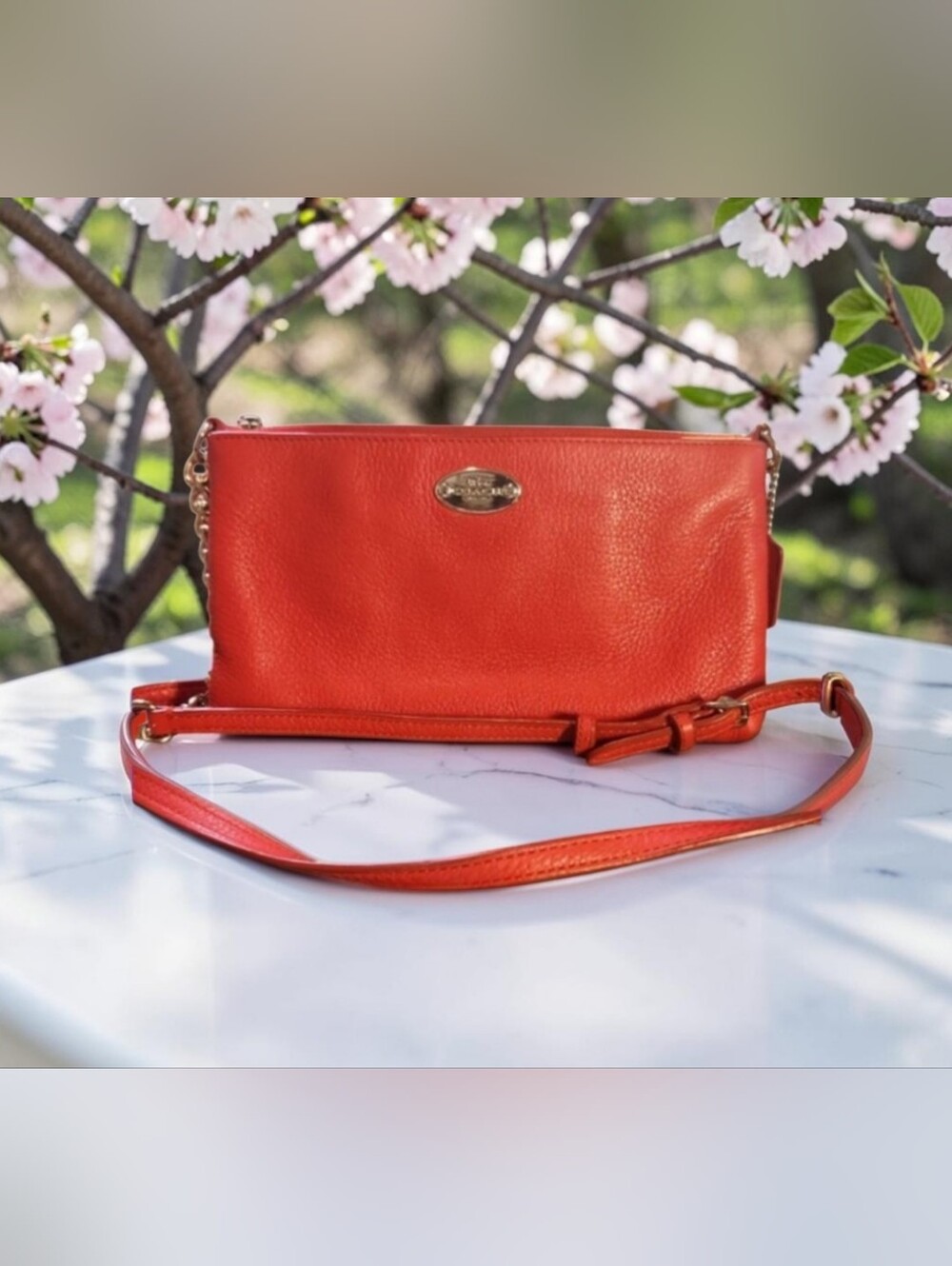 Coach Pebble Leather Mini Quinn Shoulder Bag